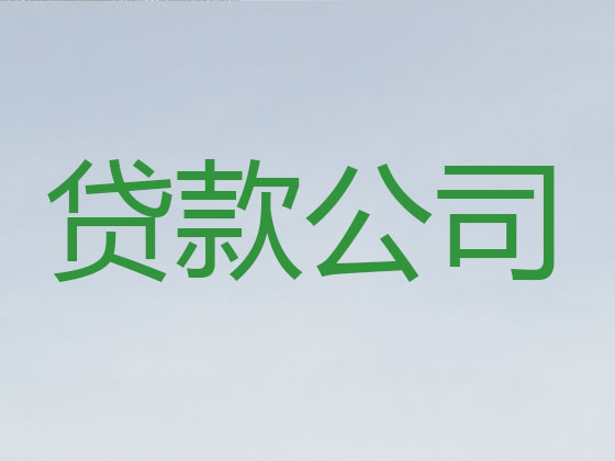 大冶市信用贷款-抵押担保贷款